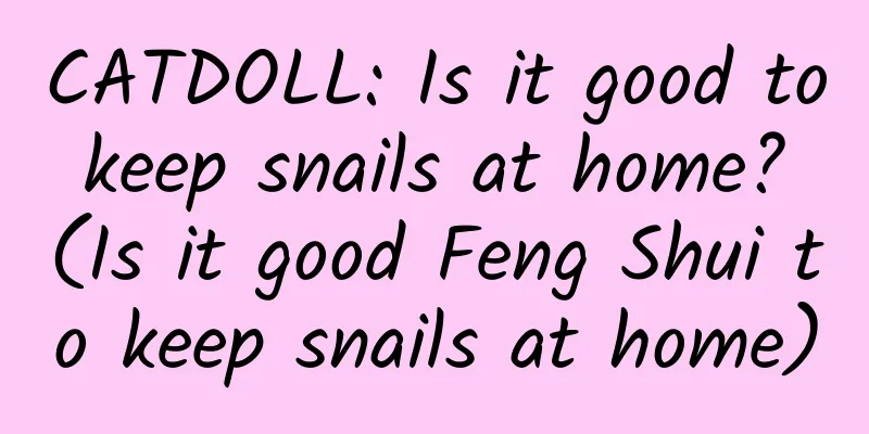 CATDOLL: Is it good to keep snails at home? (Is it good Feng Shui to keep snails at home)