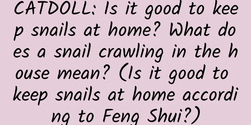 CATDOLL: Is it good to keep snails at home? What does a snail crawling in the house mean? (Is it good to keep snails at home according to Feng Shui?)