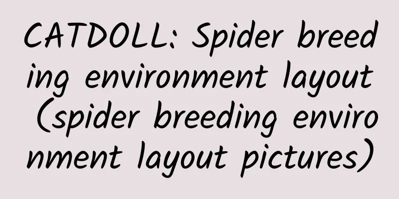 CATDOLL: Spider breeding environment layout (spider breeding environment layout pictures)
