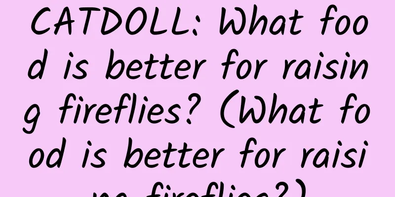 CATDOLL: What food is better for raising fireflies? (What food is better for raising fireflies?)