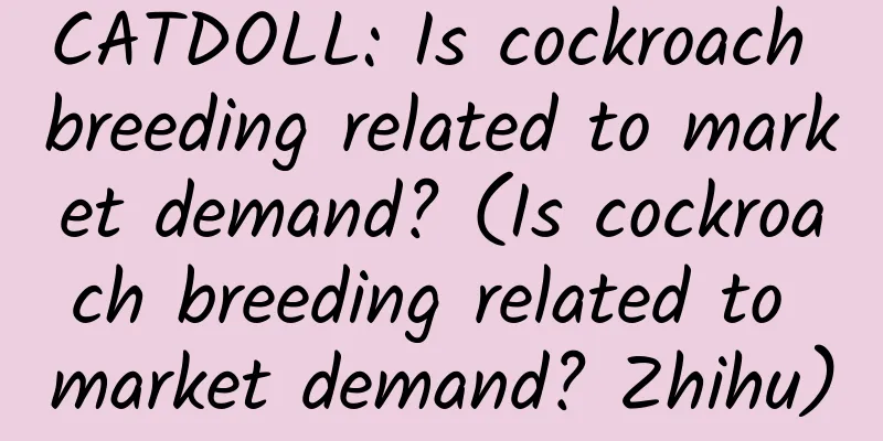 CATDOLL: Is cockroach breeding related to market demand? (Is cockroach breeding related to market demand? Zhihu)