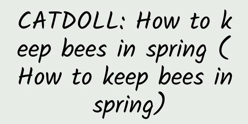 CATDOLL: How to keep bees in spring (How to keep bees in spring)