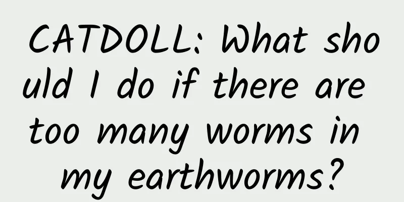 CATDOLL: What should I do if there are too many worms in my earthworms?