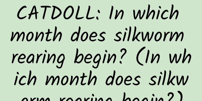 CATDOLL: In which month does silkworm rearing begin? (In which month does silkworm rearing begin?)