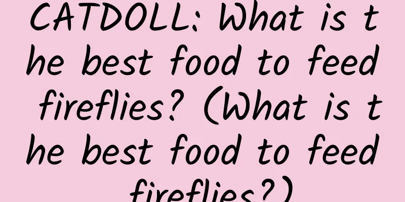 CATDOLL: What is the best food to feed fireflies? (What is the best food to feed fireflies?)