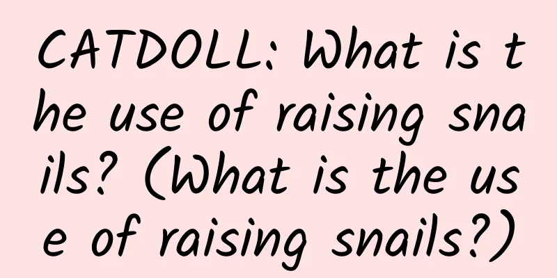 CATDOLL: What is the use of raising snails? (What is the use of raising snails?)