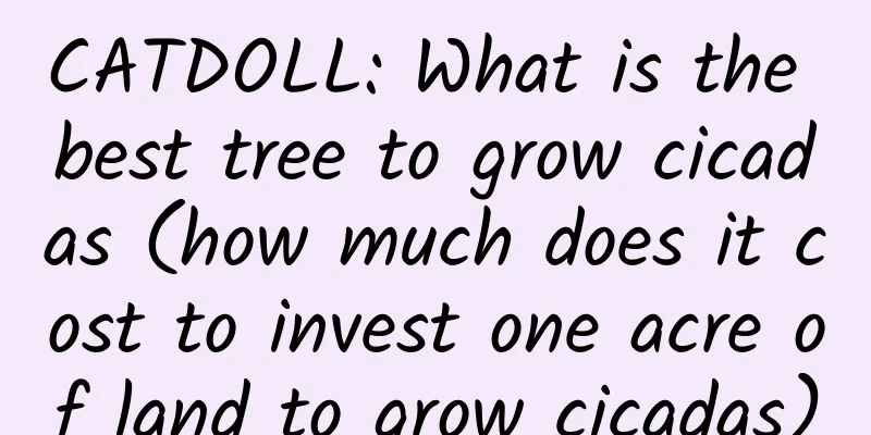 CATDOLL: What is the best tree to grow cicadas (how much does it cost to invest one acre of land to grow cicadas)