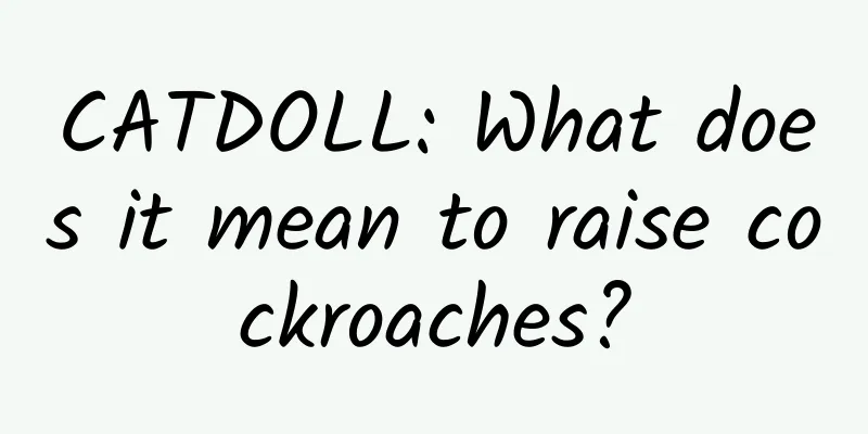 CATDOLL: What does it mean to raise cockroaches?