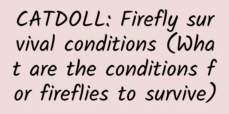 CATDOLL: Firefly survival conditions (What are the conditions for fireflies to survive)