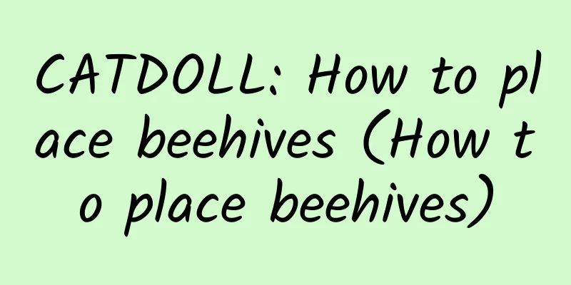 CATDOLL: How to place beehives (How to place beehives)