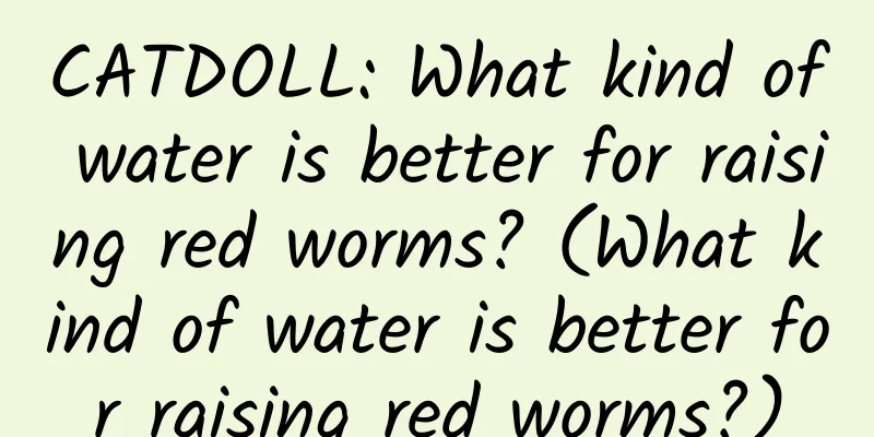 CATDOLL: What kind of water is better for raising red worms? (What kind of water is better for raising red worms?)