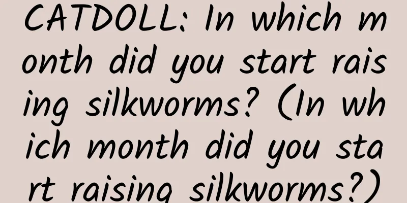 CATDOLL: In which month did you start raising silkworms? (In which month did you start raising silkworms?)