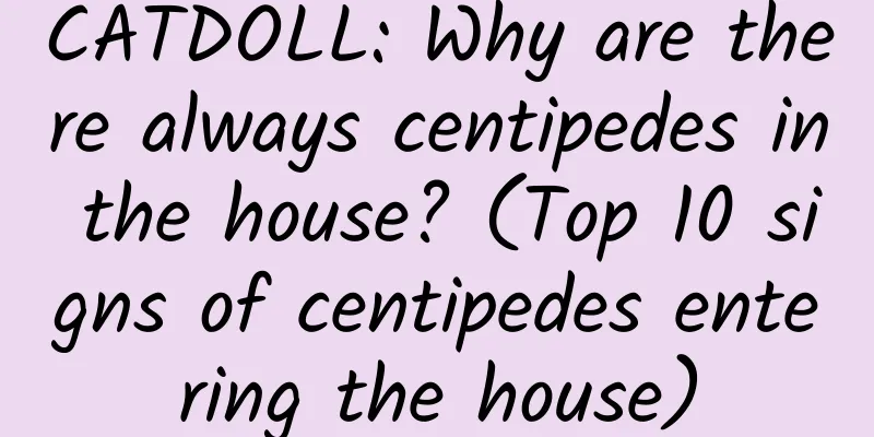CATDOLL: Why are there always centipedes in the house? (Top 10 signs of centipedes entering the house)