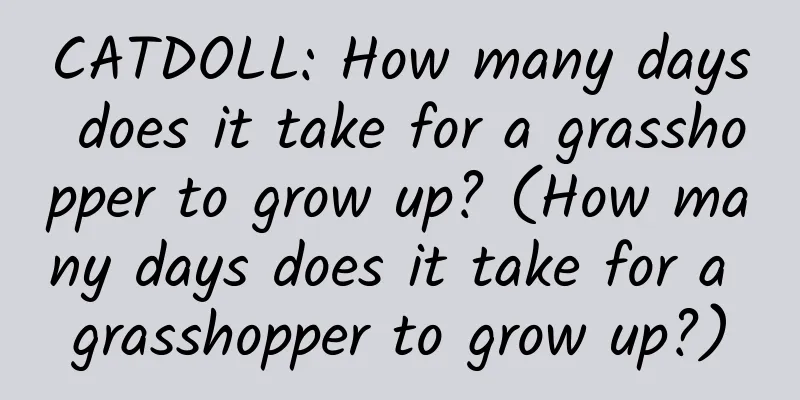 CATDOLL: How many days does it take for a grasshopper to grow up? (How many days does it take for a grasshopper to grow up?)