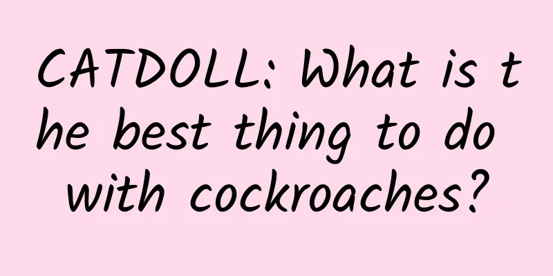 CATDOLL: What is the best thing to do with cockroaches?