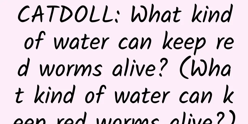 CATDOLL: What kind of water can keep red worms alive? (What kind of water can keep red worms alive?)