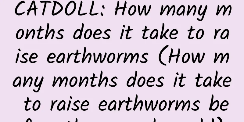 CATDOLL: How many months does it take to raise earthworms (How many months does it take to raise earthworms before they can be sold)