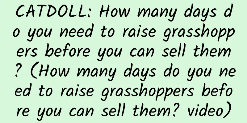CATDOLL: How many days do you need to raise grasshoppers before you can sell them? (How many days do you need to raise grasshoppers before you can sell them? video)