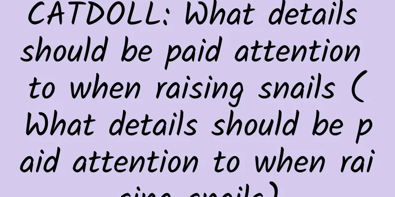CATDOLL: What details should be paid attention to when raising snails (What details should be paid attention to when raising snails)