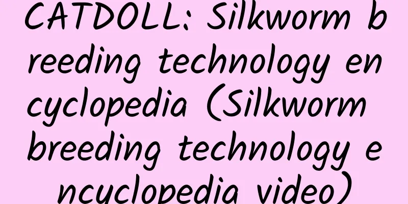 CATDOLL: Silkworm breeding technology encyclopedia (Silkworm breeding technology encyclopedia video)