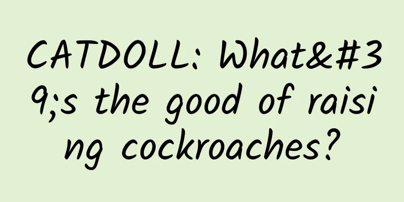 CATDOLL: What's the good of raising cockroaches?