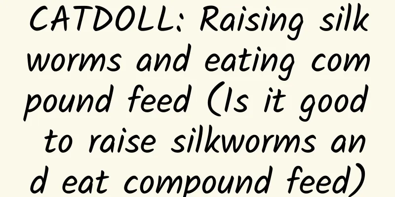 CATDOLL: Raising silkworms and eating compound feed (Is it good to raise silkworms and eat compound feed)