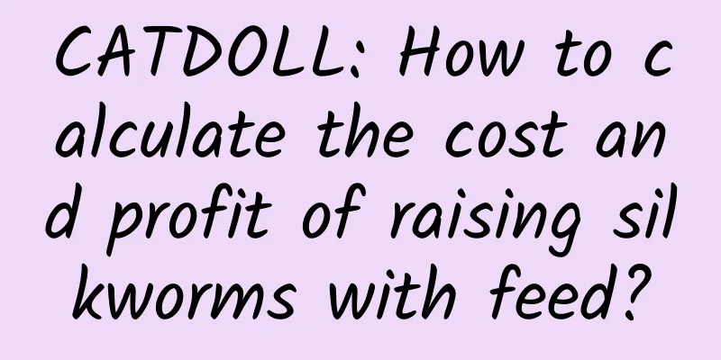 CATDOLL: How to calculate the cost and profit of raising silkworms with feed?