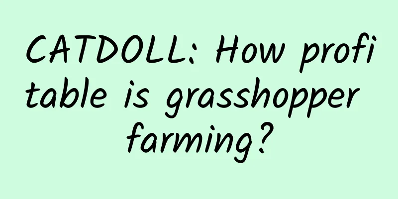 CATDOLL: How profitable is grasshopper farming?