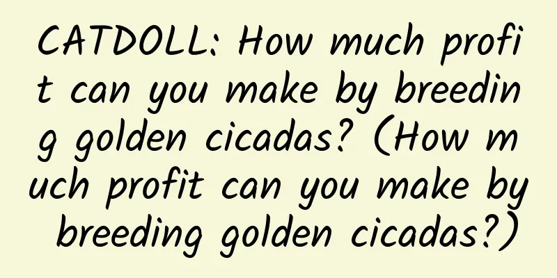 CATDOLL: How much profit can you make by breeding golden cicadas? (How much profit can you make by breeding golden cicadas?)