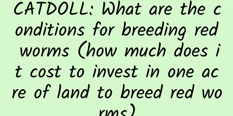 CATDOLL: What are the conditions for breeding red worms (how much does it cost to invest in one acre of land to breed red worms)