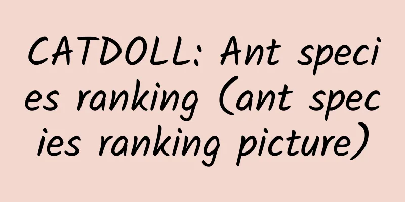 CATDOLL: Ant species ranking (ant species ranking picture)