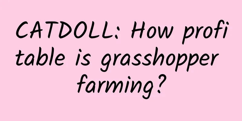 CATDOLL: How profitable is grasshopper farming?