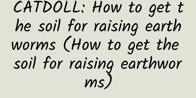 CATDOLL: How to get the soil for raising earthworms (How to get the soil for raising earthworms)