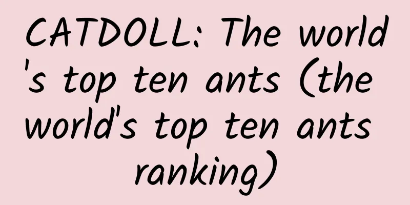 CATDOLL: The world's top ten ants (the world's top ten ants ranking)