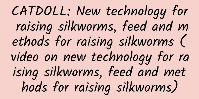CATDOLL: New technology for raising silkworms, feed and methods for raising silkworms (video on new technology for raising silkworms, feed and methods for raising silkworms)
