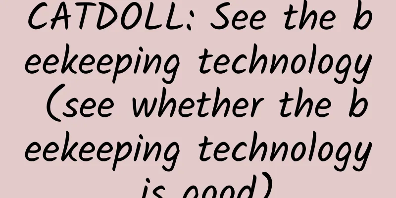 CATDOLL: See the beekeeping technology (see whether the beekeeping technology is good)