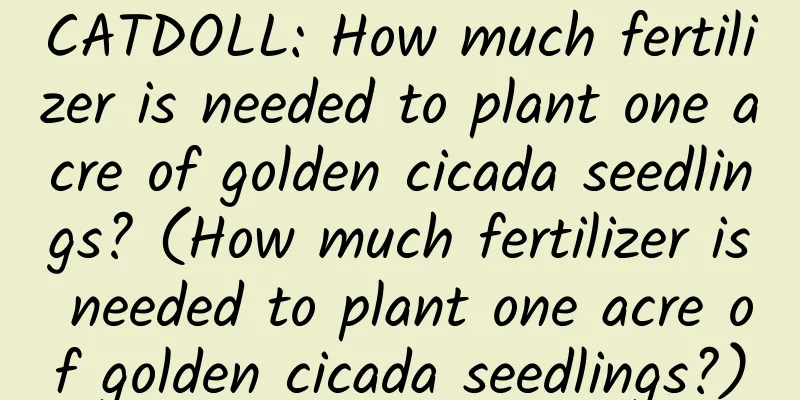 CATDOLL: How much fertilizer is needed to plant one acre of golden cicada seedlings? (How much fertilizer is needed to plant one acre of golden cicada seedlings?)