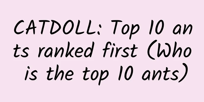 CATDOLL: Top 10 ants ranked first (Who is the top 10 ants)