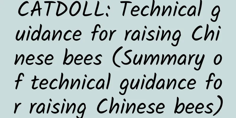 CATDOLL: Technical guidance for raising Chinese bees (Summary of technical guidance for raising Chinese bees)