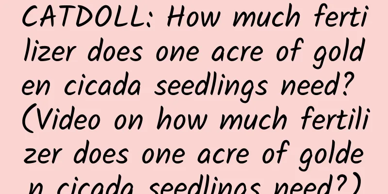CATDOLL: How much fertilizer does one acre of golden cicada seedlings need? (Video on how much fertilizer does one acre of golden cicada seedlings need?)