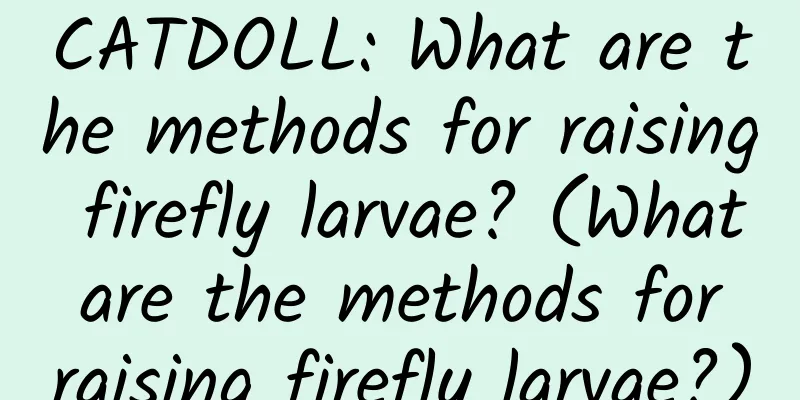 CATDOLL: What are the methods for raising firefly larvae? (What are the methods for raising firefly larvae?)