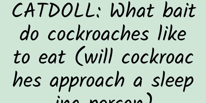 CATDOLL: What bait do cockroaches like to eat (will cockroaches approach a sleeping person)