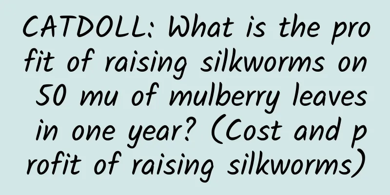 CATDOLL: What is the profit of raising silkworms on 50 mu of mulberry leaves in one year? (Cost and profit of raising silkworms)