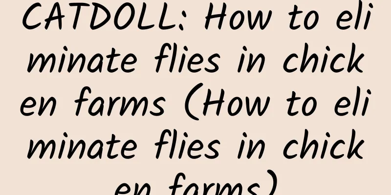 CATDOLL: How to eliminate flies in chicken farms (How to eliminate flies in chicken farms)