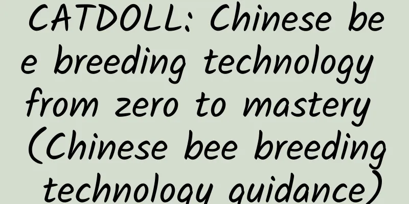 CATDOLL: Chinese bee breeding technology from zero to mastery (Chinese bee breeding technology guidance)