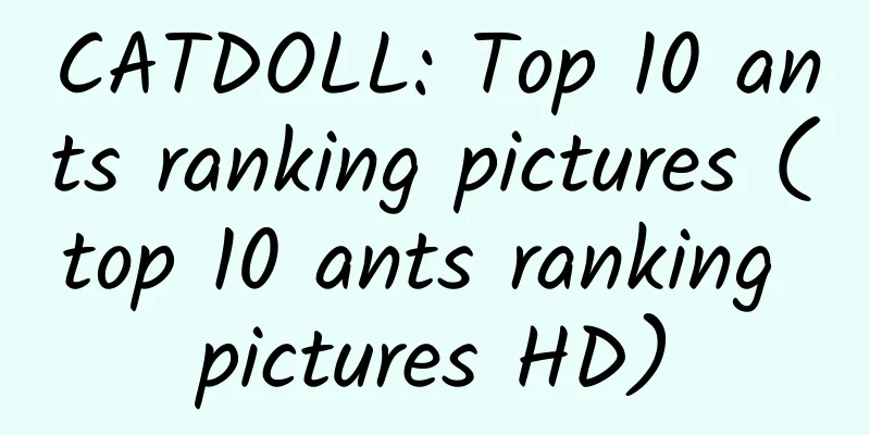 CATDOLL: Top 10 ants ranking pictures (top 10 ants ranking pictures HD)