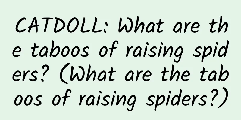 CATDOLL: What are the taboos of raising spiders? (What are the taboos of raising spiders?)
