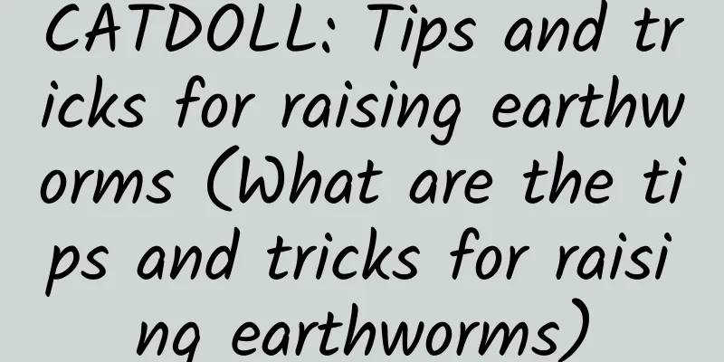 CATDOLL: Tips and tricks for raising earthworms (What are the tips and tricks for raising earthworms)