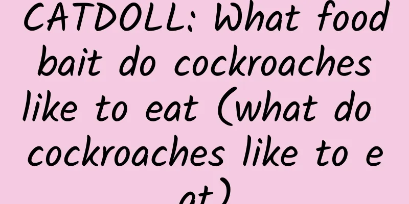 CATDOLL: What food bait do cockroaches like to eat (what do cockroaches like to eat)