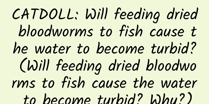 CATDOLL: Will feeding dried bloodworms to fish cause the water to become turbid? (Will feeding dried bloodworms to fish cause the water to become turbid? Why?)